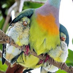 Gezondheid en welzijn