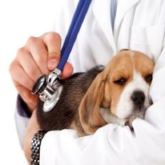 Gezondheid & welzijn