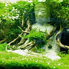 Filters, pompen & filtermaterialen