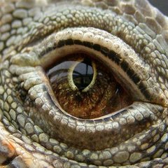 Gezondheid en welzijn