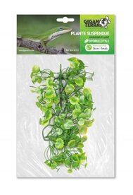 Giganterra hanging plant small