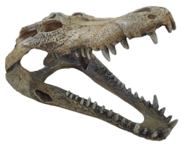 Repto deco crocodile large