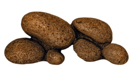 Repto deco rock formation bruin