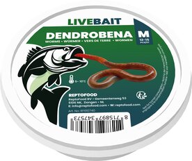 Dendrobena wormen medium