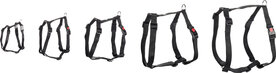 Ziggi h-harness black