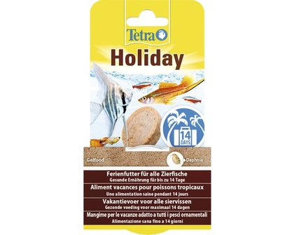 Tetra holiday tetramin