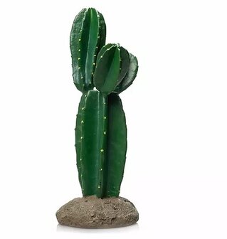 Giganterra cactus 3 kop 15x14x33cm