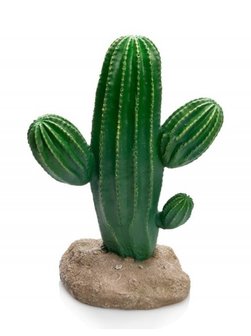 Giganterra cactus 17x13x24cm