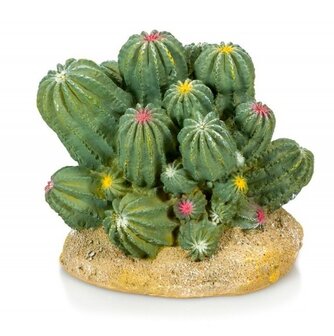 Giganterra cactus kleur 12x10x11cm