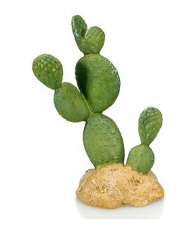 Giganterra cactus schijf 10x7x16cm