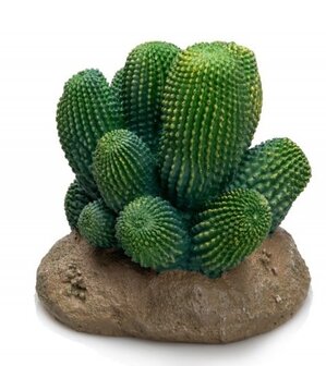 Giganterra cactus groen 12x12x13cm