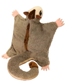 Pluche suikereekhoorn 33cm