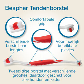 Beaphar tandenborstel &amp; tandpasta set