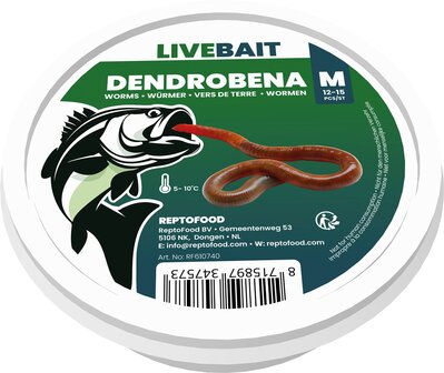 Dendrobena wormen medium