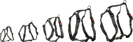 Ziggi h-harness dark grey