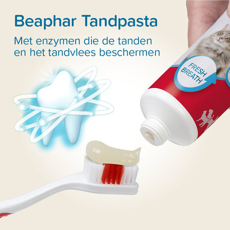 Beaphar tandenborstel & tandpasta set