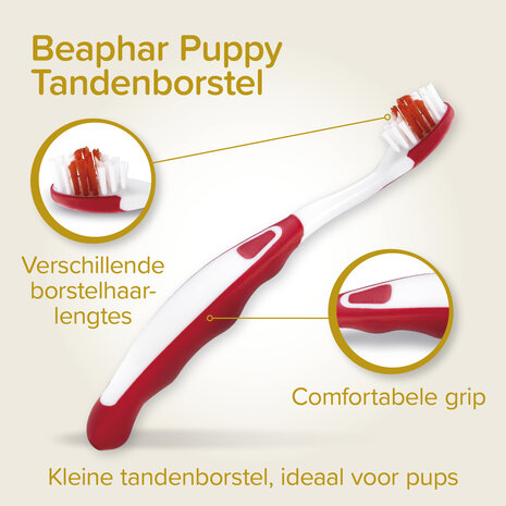 Beaphar tandenborstel & tandpasta set puppy