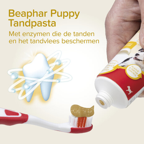 Beaphar tandenborstel & tandpasta set puppy